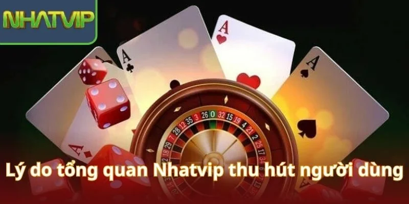 ly-do-tong-quan-nhatvip-thu-hut-nguoi-dung