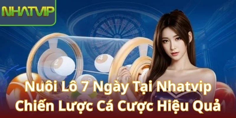 nuoi-lo-7-ngay-tai-nhatvip-chien-luoc-ca-cuoc-hieu-qua