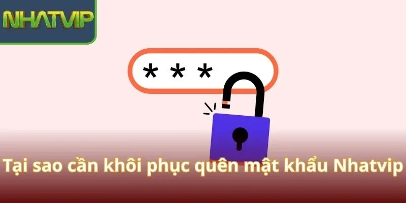 tai-sao-can-khoi-phuc-quen-mat-khau-nhatvip
